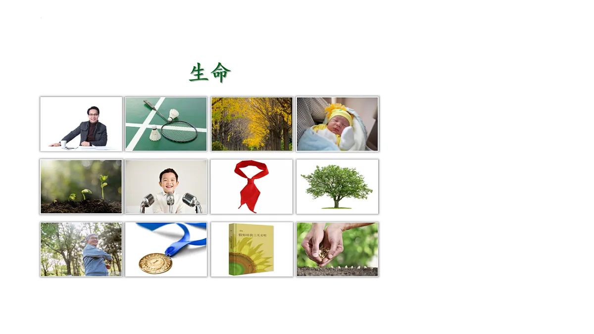 17804972第6页