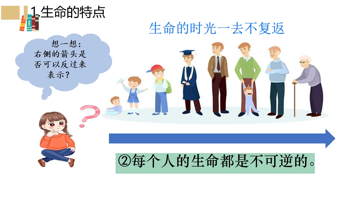 17804972第7页