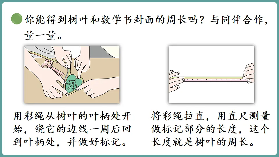 17806069第8页