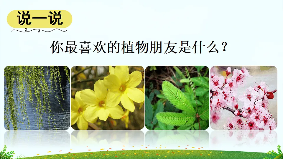 习作 我的植物朋友【上课课件优质版】第2页