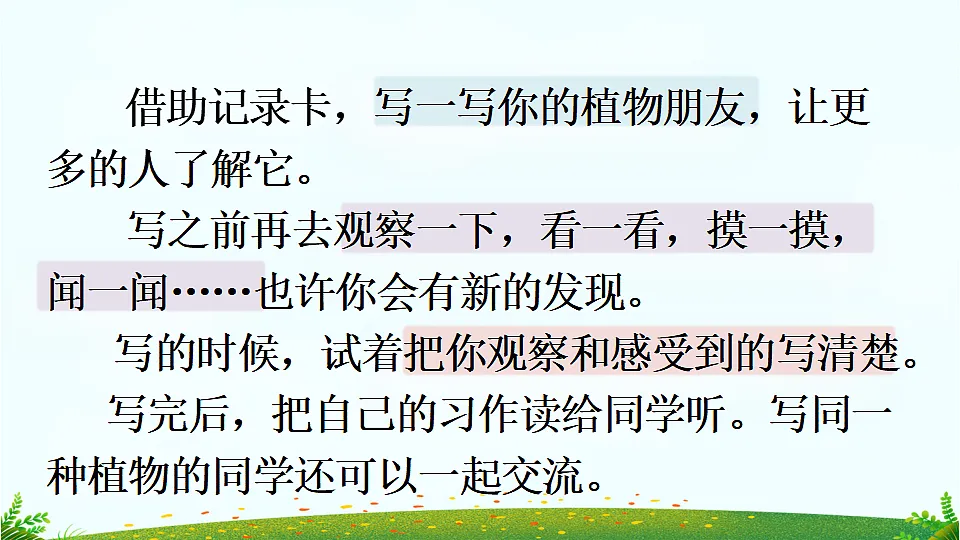 习作 我的植物朋友【上课课件优质版】第6页