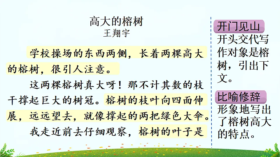 习作 我的植物朋友(范文+点评+升格)第4页