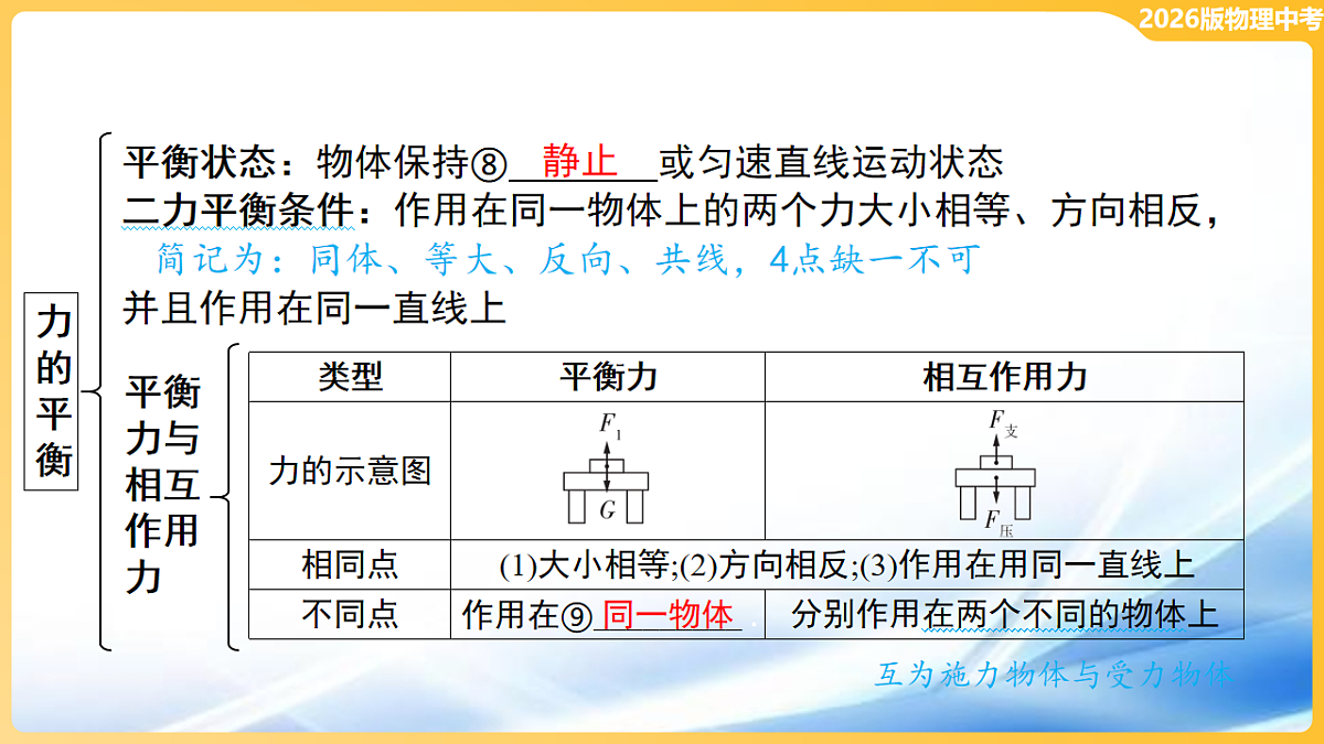 17806477第7页