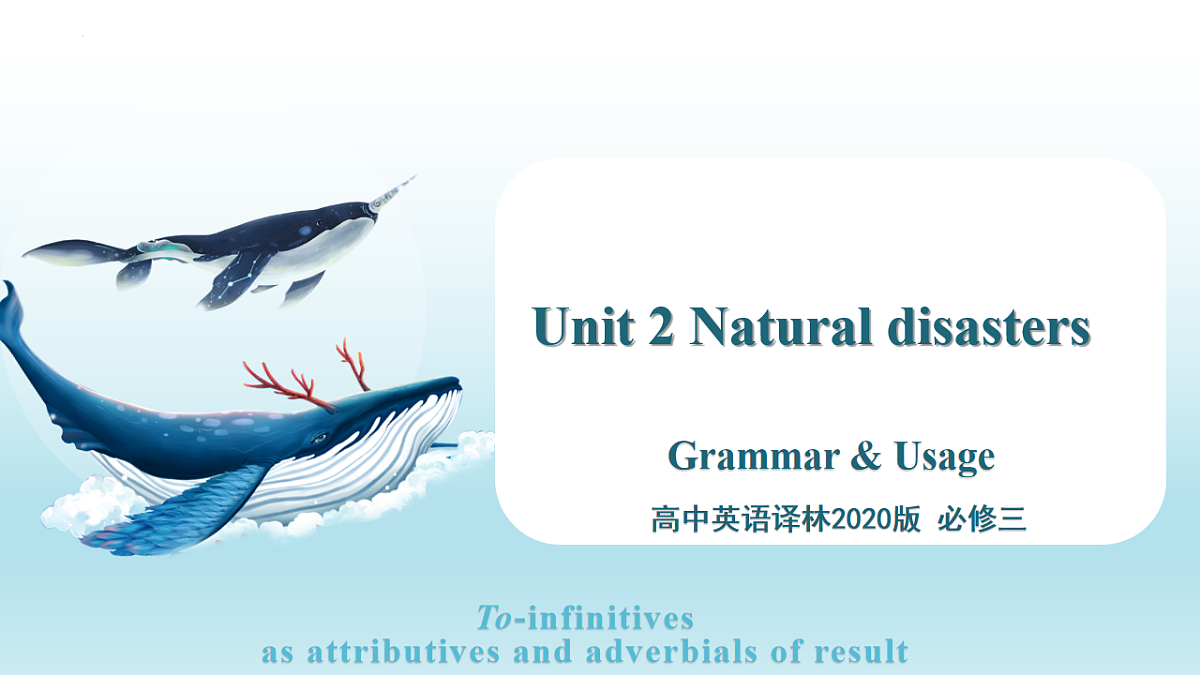 17806798第1页