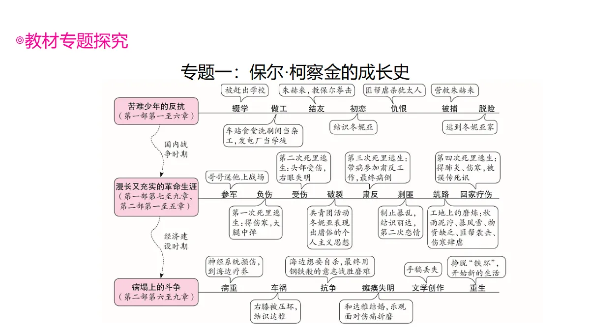 17807293第6页