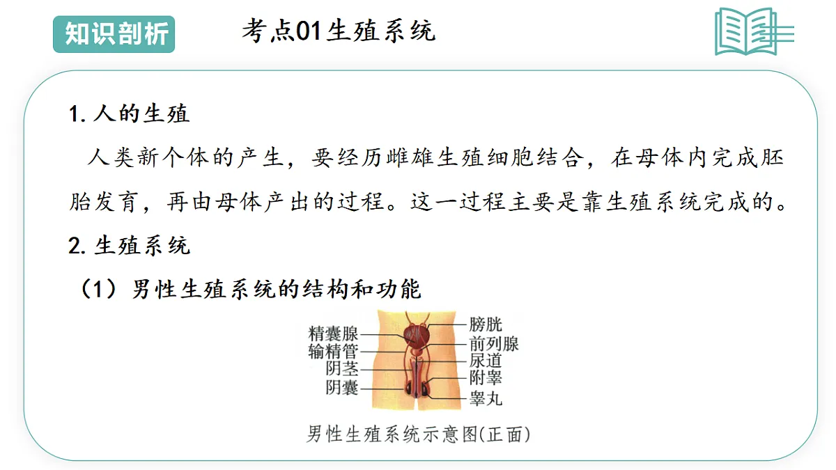 17808674第5页