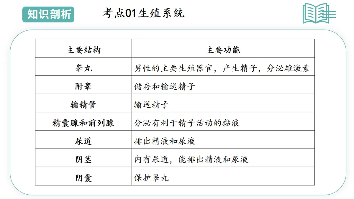 17808674第6页