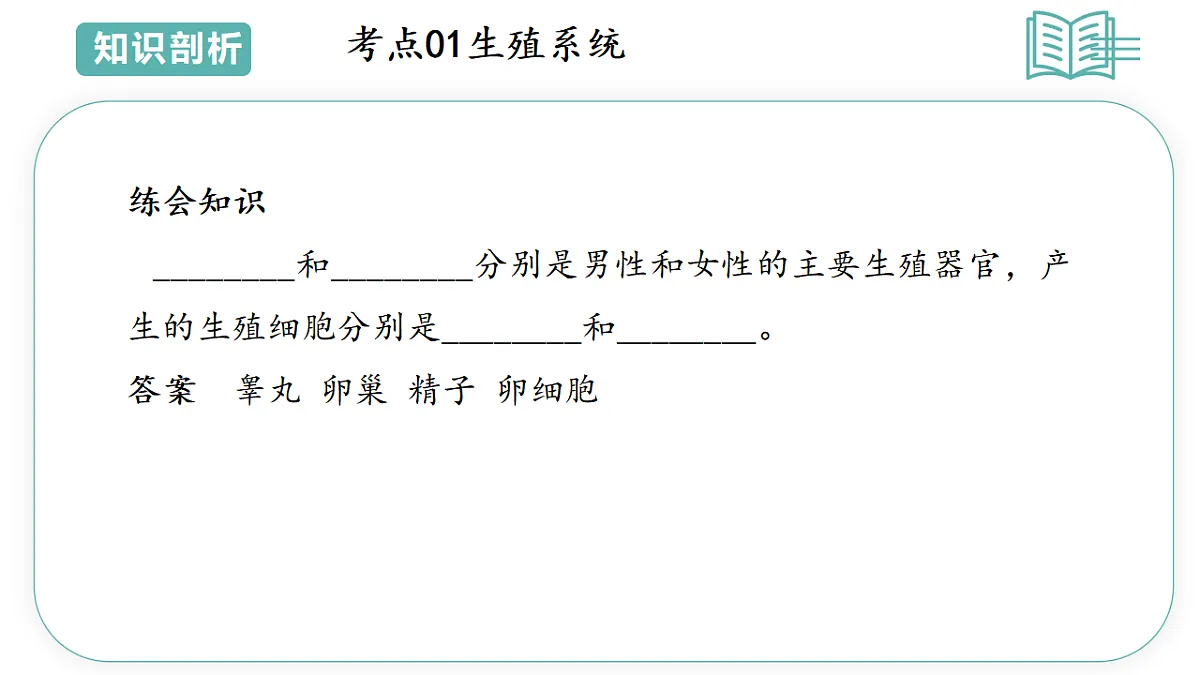17808674第7页
