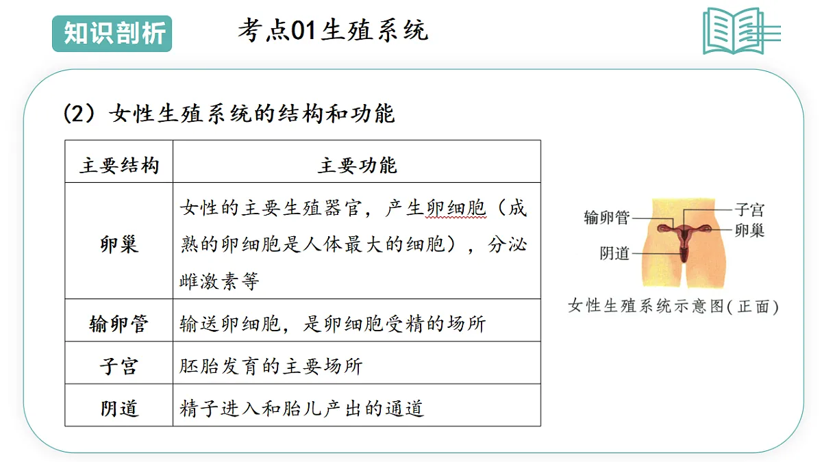 17808674第8页