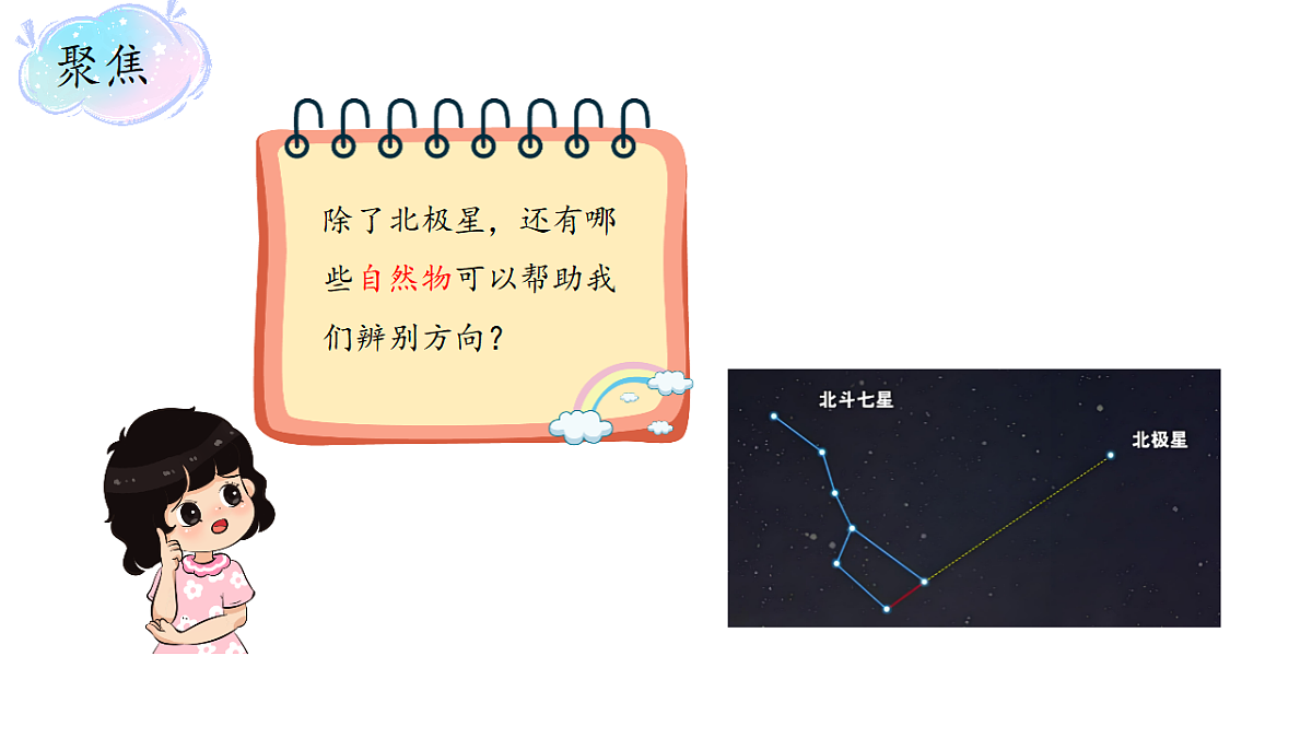 17809201第4页