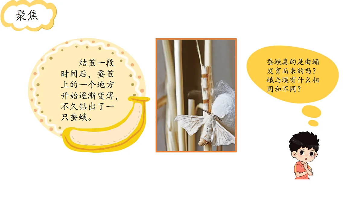 17809213第2页