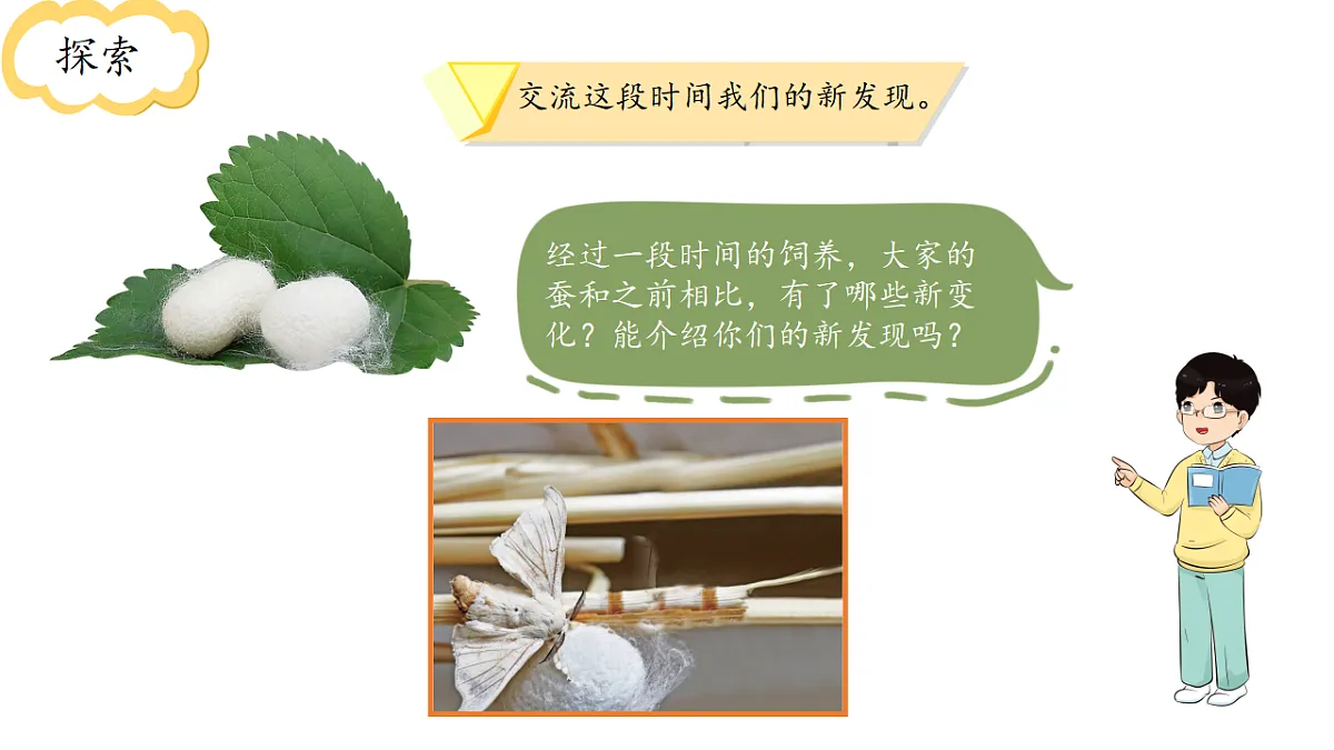 17809213第3页