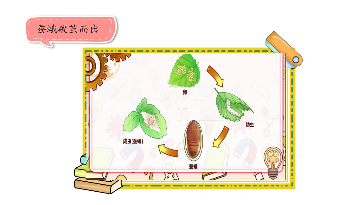 17809213第4页