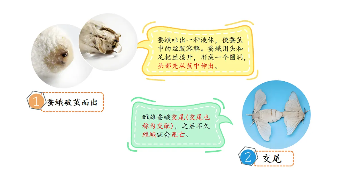 17809213第5页