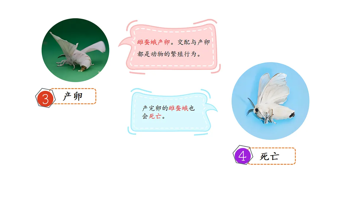 17809213第6页
