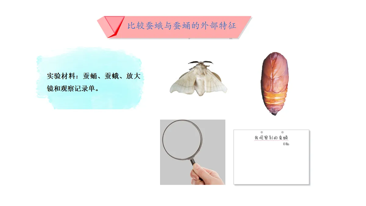 17809213第8页