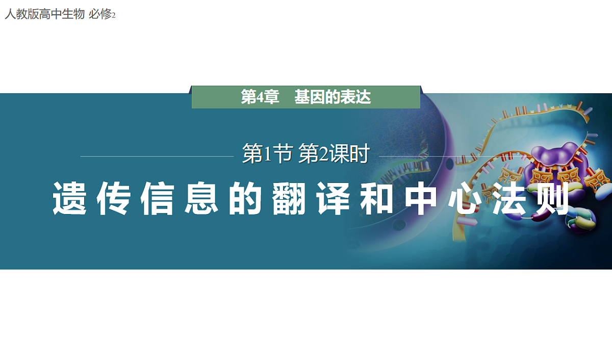 17809972第1页