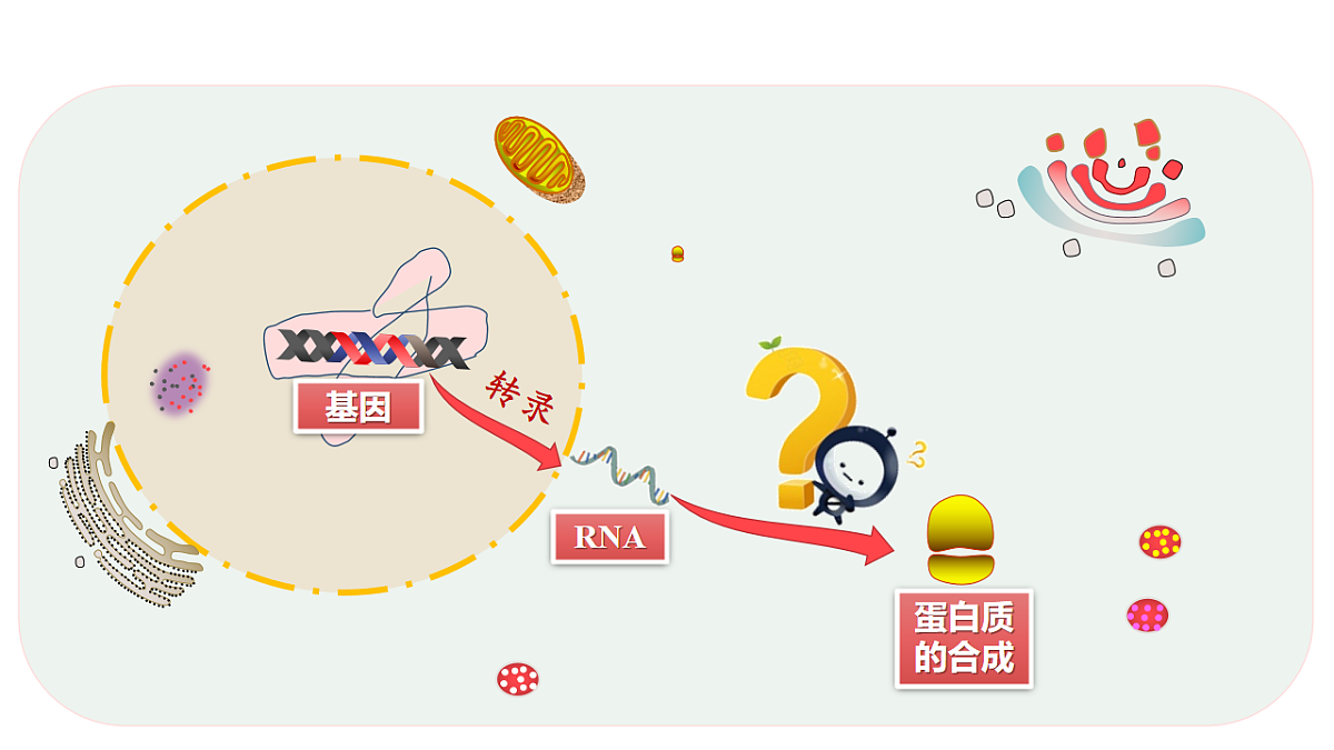 17809972第3页