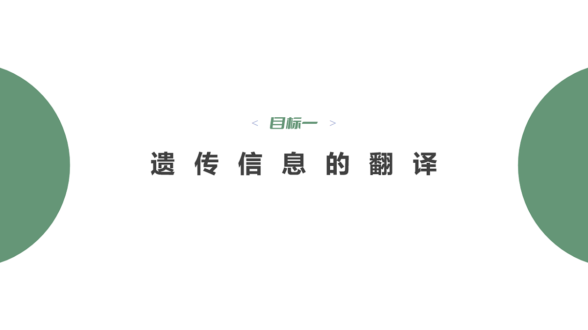 17809972第4页