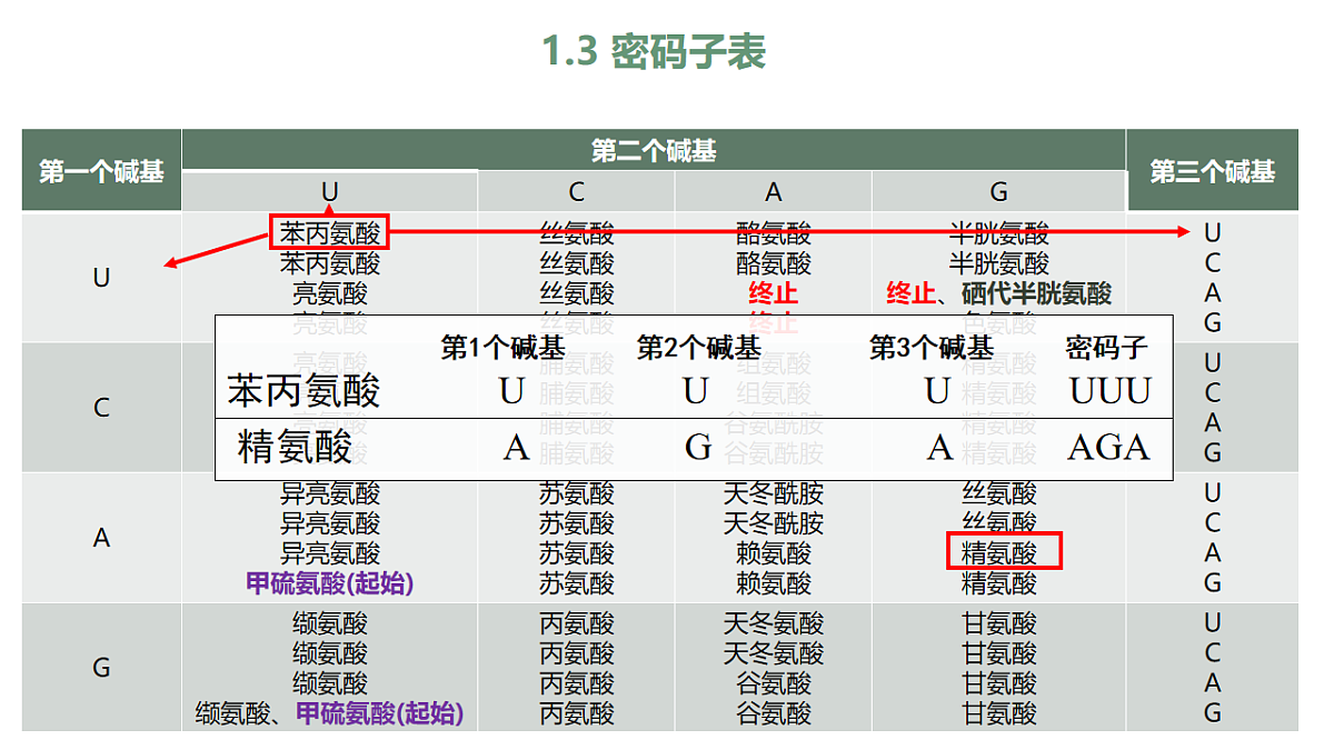 17809972第7页