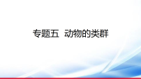 )2026年中考生物一轮复习 动物的类群课件