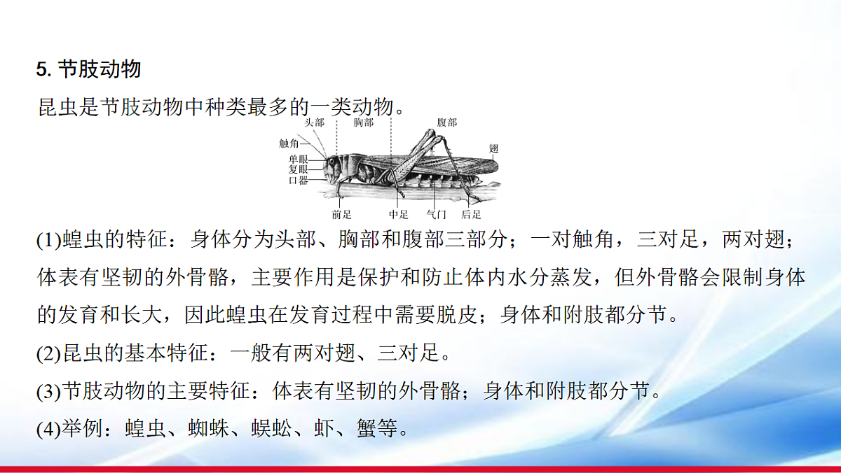 17810643第6页