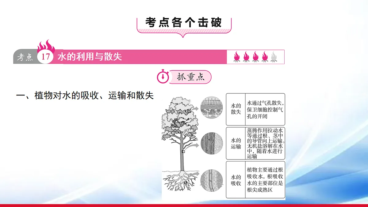 17810645第3页