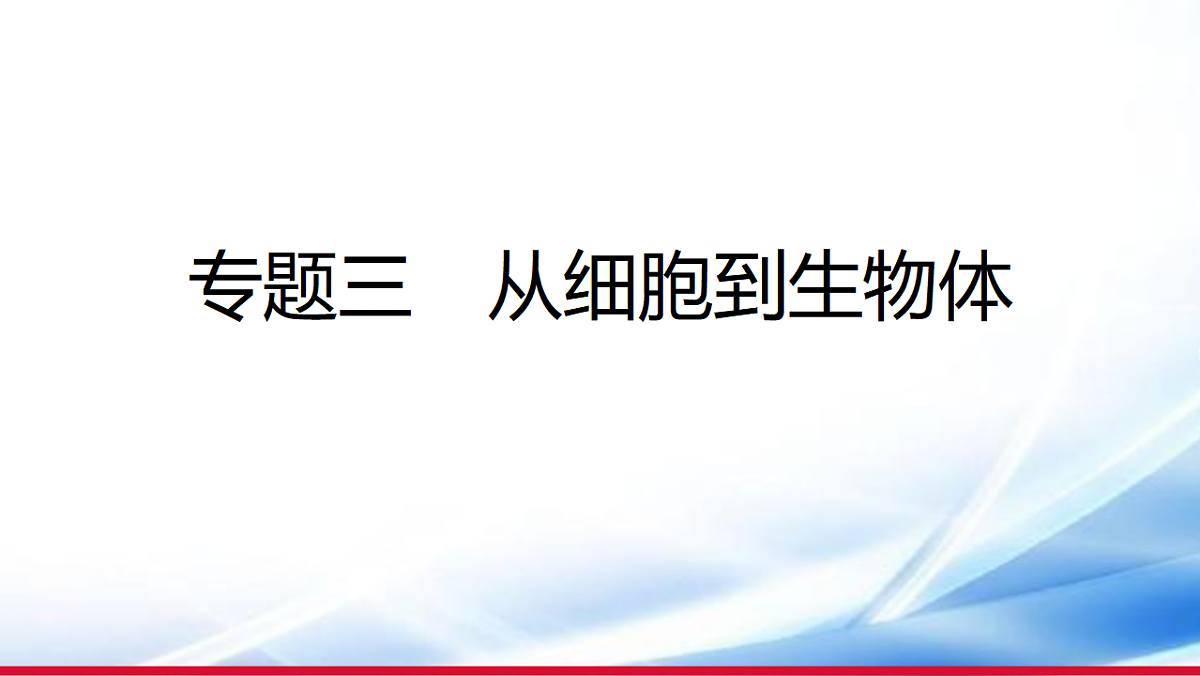17810647第1页