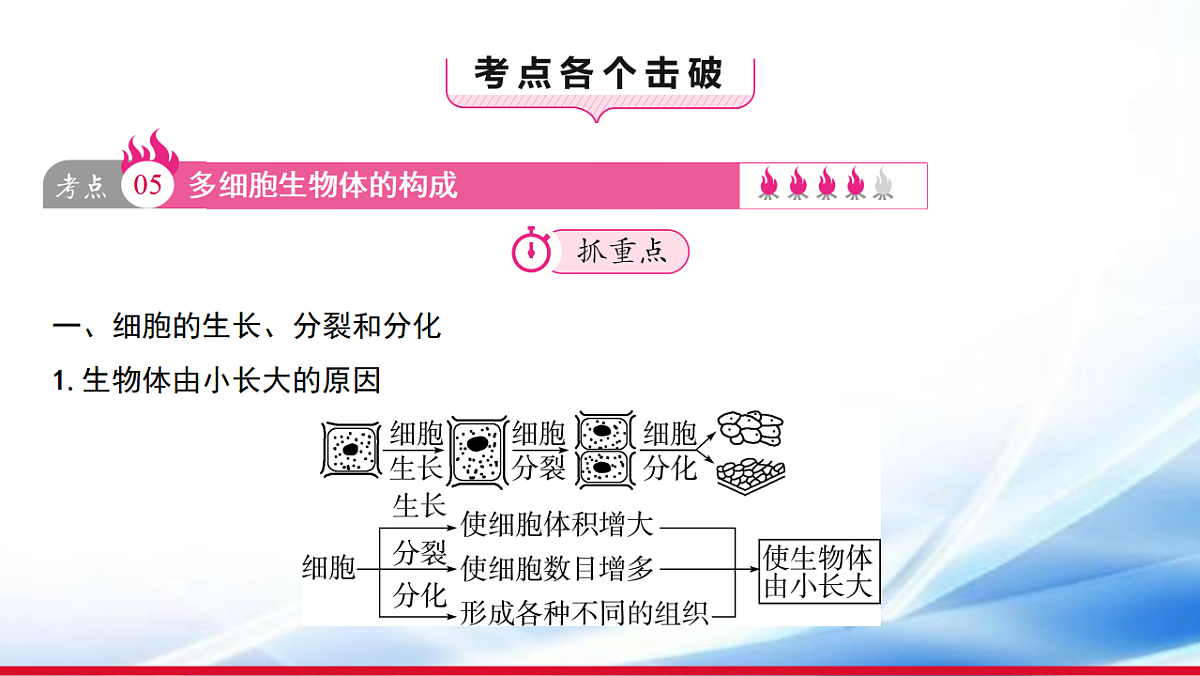 17810647第3页