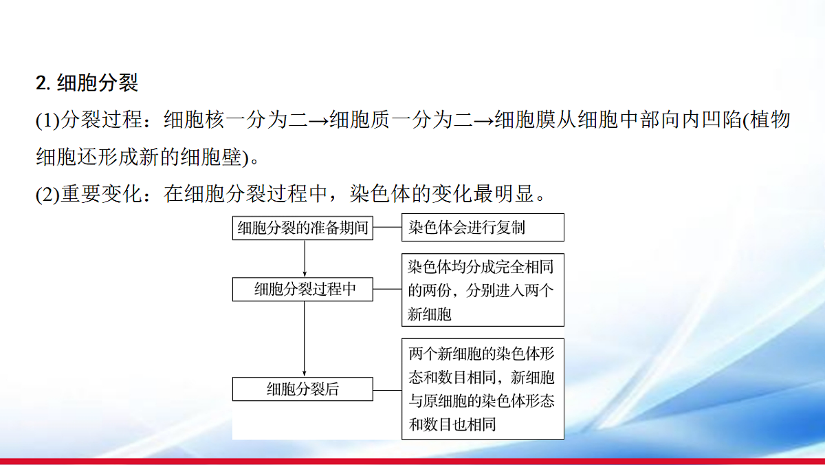 17810647第4页