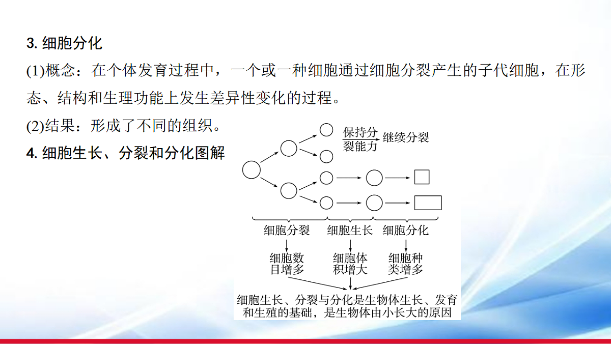 17810647第5页