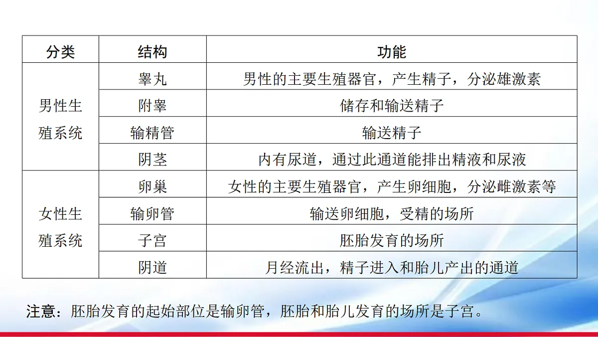 17810650第4页