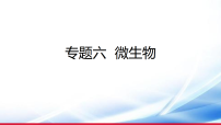 )2026年中考生物一轮复习微生物课件