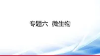 )2026年中考生物一轮复习微生物课件