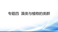 )2026年中考生物一轮复习藻类与植物的类群课件