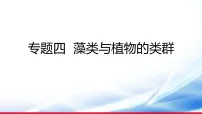 )2026年中考生物一轮复习藻类与植物的类群课件