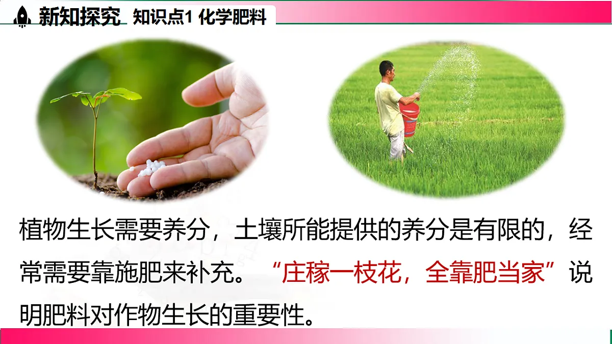 17810883第5页