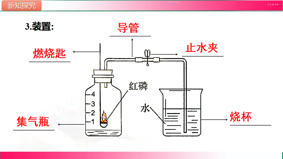 17810888第7页