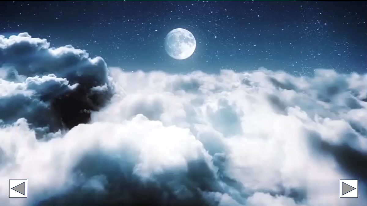 17810906第3页