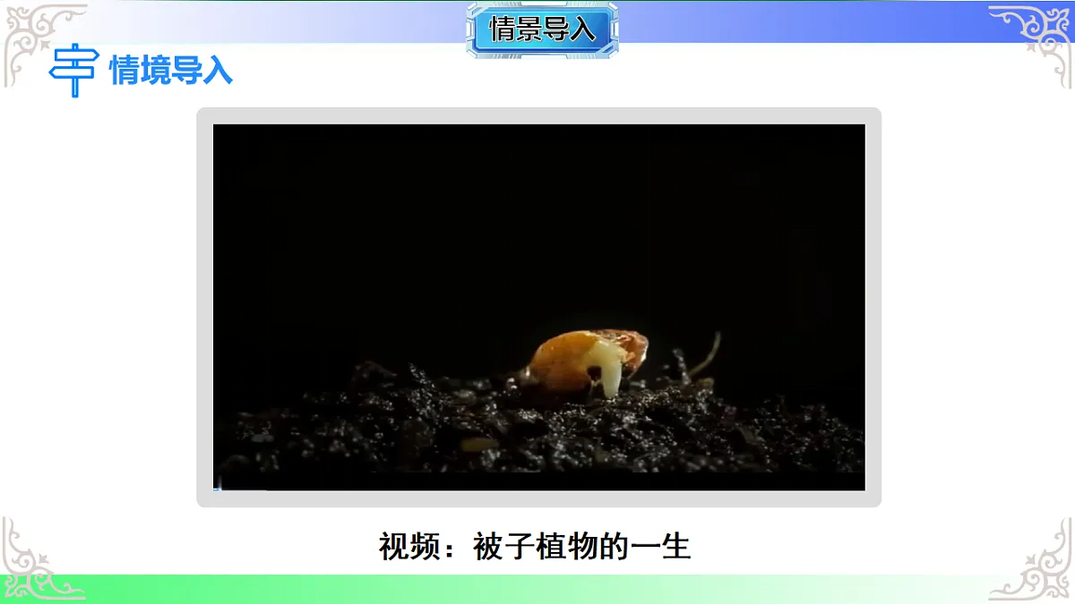 17810933第3页