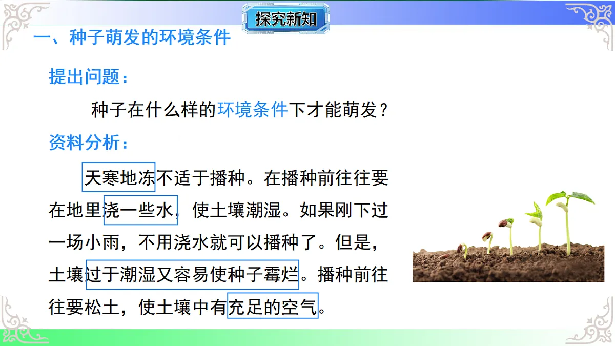 17810933第5页