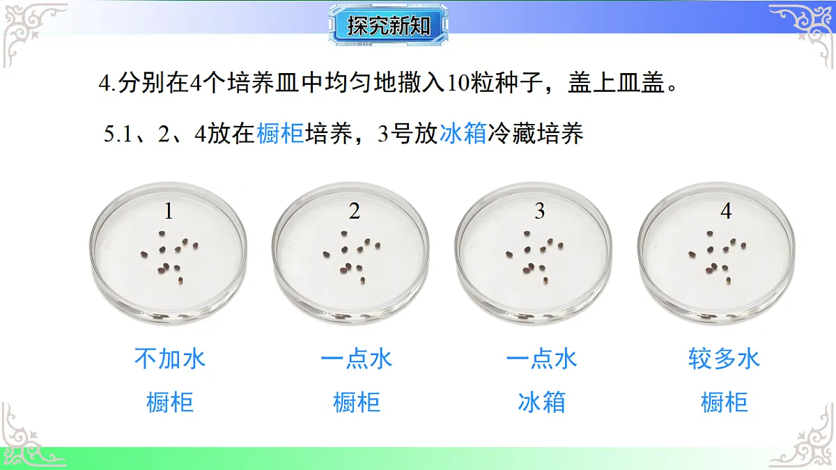 17810933第8页