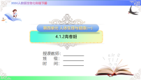 初中生物人教版（2024）七年级下册（2024）青春期获奖课件ppt