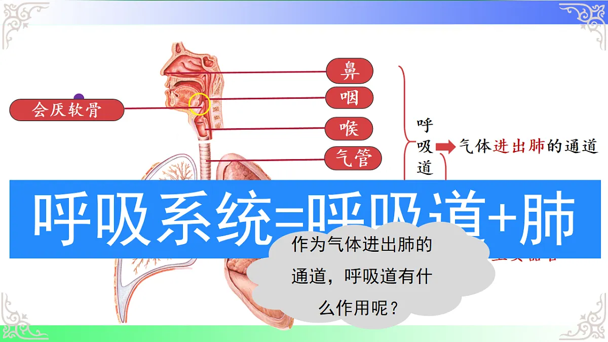 17810944第4页