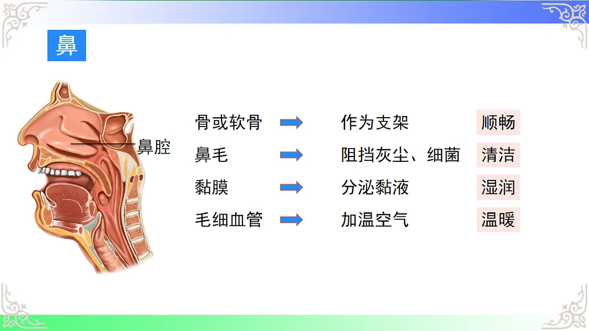 17810944第5页