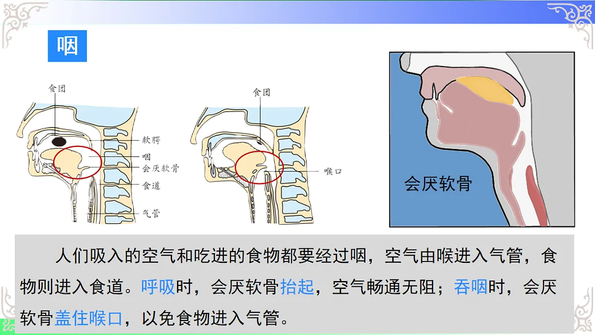 17810944第7页