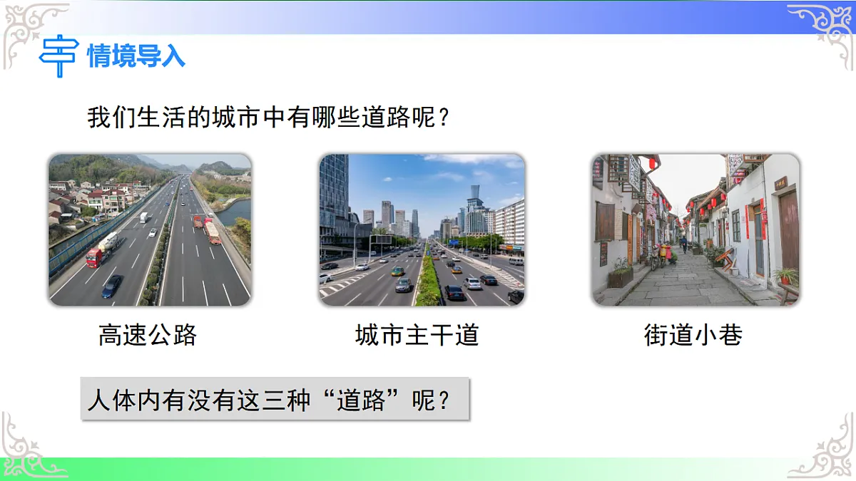 17810946第3页