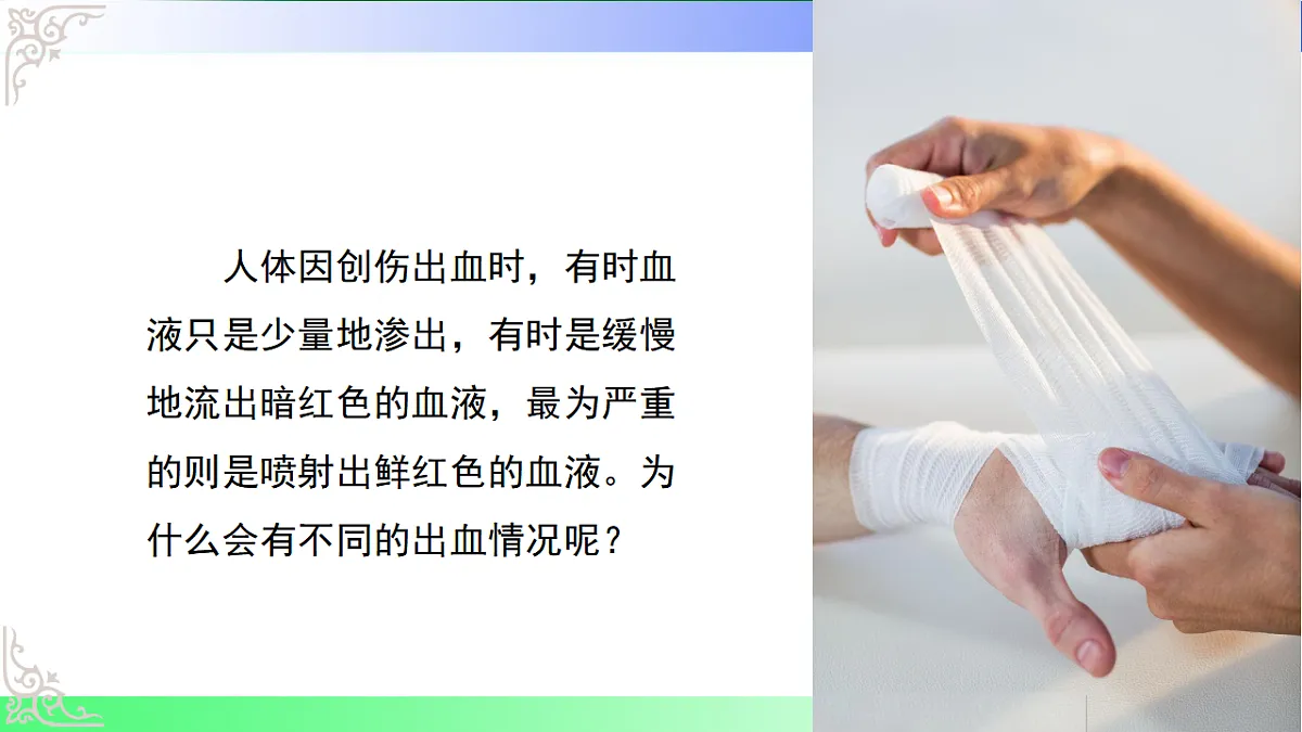 17810946第4页