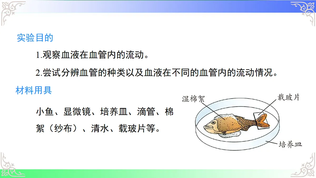 17810946第5页