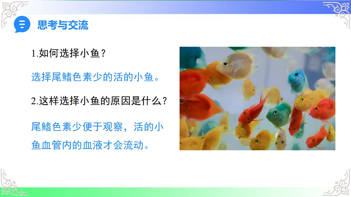 17810946第6页
